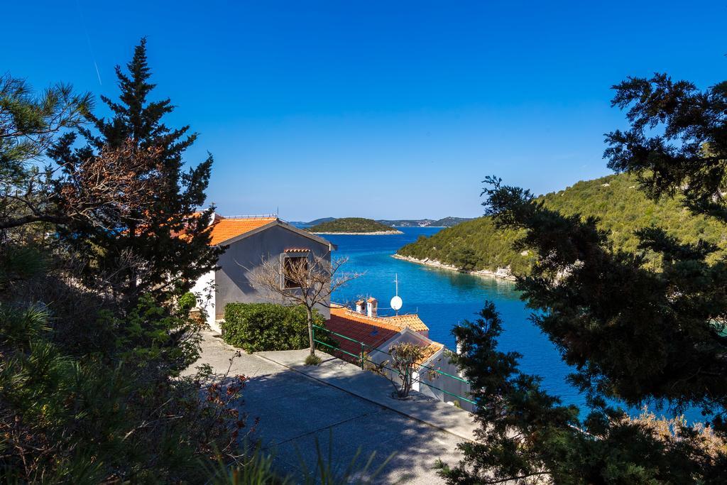 Viducic Apartments Dragove Buitenkant foto